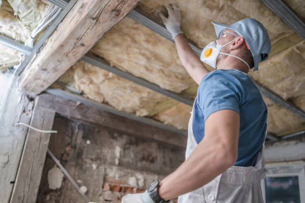 Insulation Inspection Services in Goose Creek, SC