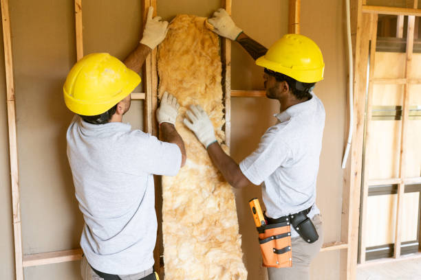 Best Cellulose Insulation  in Goose Creek, SC